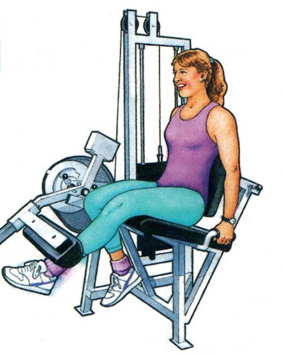 PHỤC HỒI CHỨC NĂNG SAU PHẪU THUẬT NỘI SOI TÁI TẠO DÂY CHẰNG CHÉO TRƯỚC ...