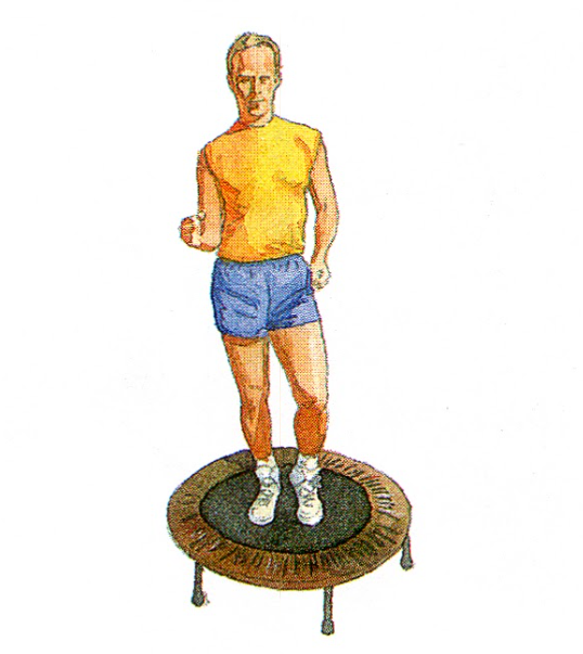 PHỤC HỒI CHỨC NĂNG SAU PHẪU THUẬT NỘI SOI TÁI TẠO DÂY CHẰNG CHÉO TRƯỚC ...