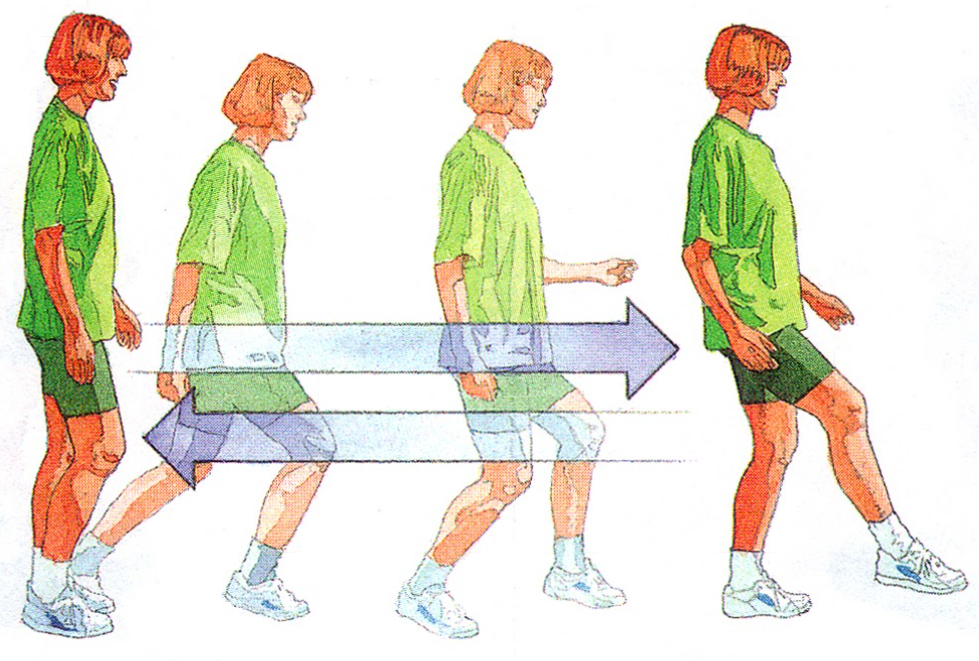 PHỤC HỒI CHỨC NĂNG SAU PHẪU THUẬT NỘI SOI TÁI TẠO DÂY CHẰNG CHÉO TRƯỚC ...